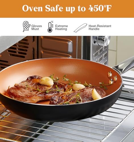 10in Copper Nonstick Frying Pans with Lids and Titanium Ceramic Interior (Copper-Silver / 10 Inch)
