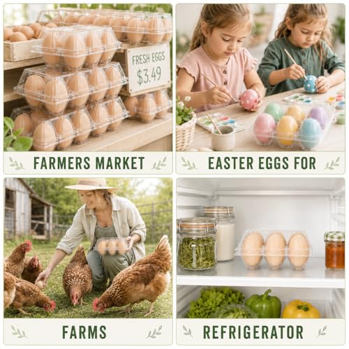 100 Pack Egg Cartons 6 Count (Medium-100PK-6CT)