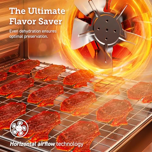 Food Dehydrator (Silver / 10 Trays(16.2ft² Drying Space))