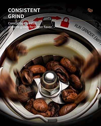 Conical Burr Coffee Bean Grinder (Silver)