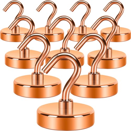 Magnetic Hooks (10 Count)