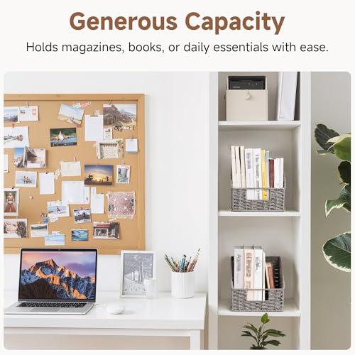 Wicker Baskets for Organizing (Gray(Paper Rope) / 2x 8½"L x 10"W x 7½"H)