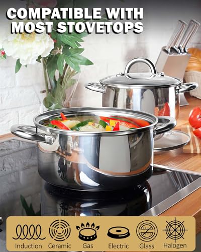Basics 3 Quart Stainless Steel Stock Pot with Lid (3 Quarts / Silver)