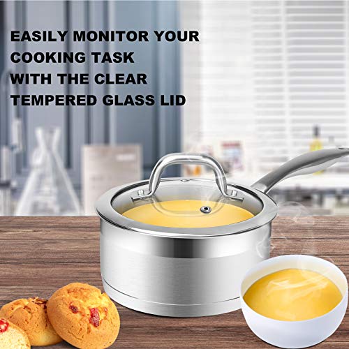 Stainless Steel Sauce Pan with Lid (2.5 Quarts)