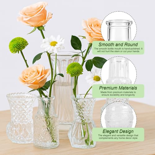 Glass Bud Vase Set of 10 Pcs