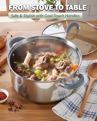 Basics 5.5 Quart Stainless Steel Stock Pot with Lid (5.5 Quarts / Gray Silicone Handle)