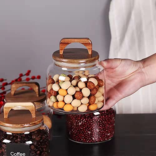 Glass Jars with Airtight Lid [Set of 4]