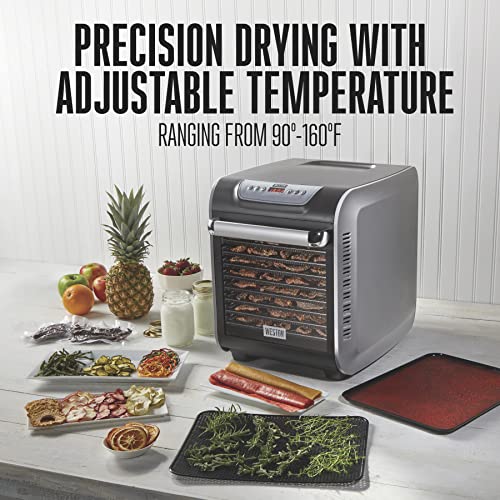 Food Dehydrator Machine for Jerky (Precision Digital Temperature Control (90-160F) / 10 Stackable Trays, Gray)