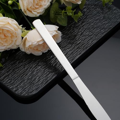 36 PCS Dinner Knifes Set (36PCS Dinner Kinfe)