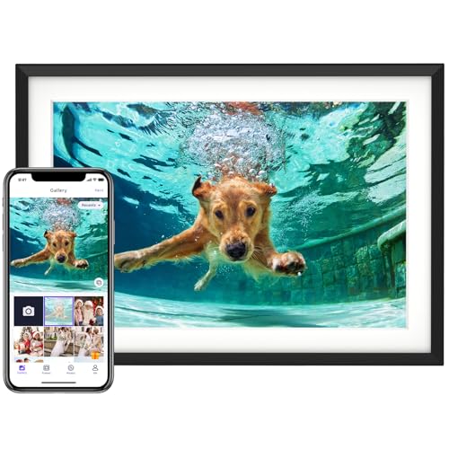 10.1'' Digital Picture Frame with 32GB Storage (10.1'' Canvas)