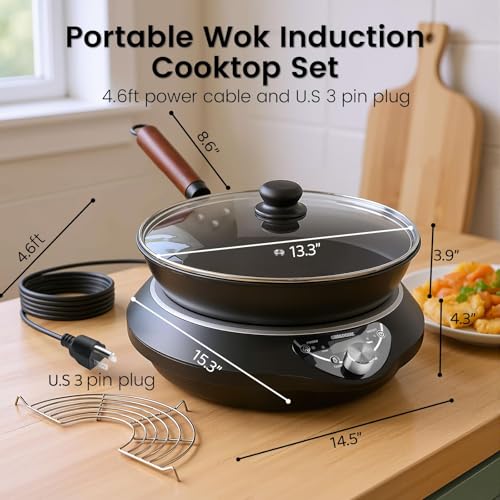 1700W Induction Wok Burner 100