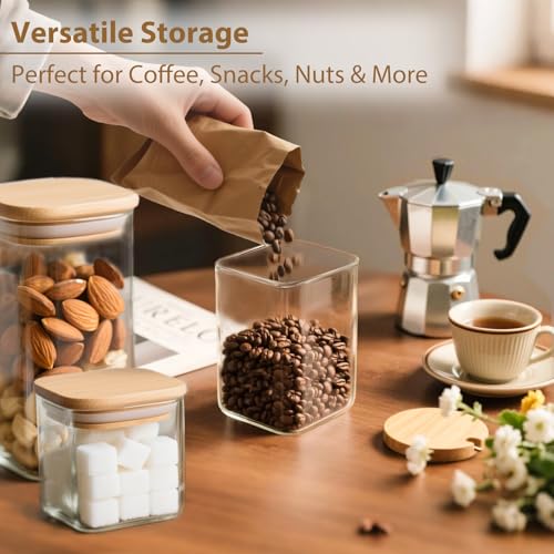 6 Pack Square Glass Storage Containers with Bamboo Lids (6 Count)