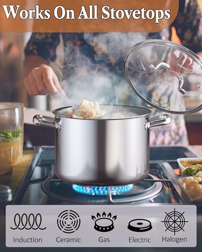 7 Quart Tri Ply Clad Stainless Steel Stockpot with Glass Lid (7 Quarts / Silver)