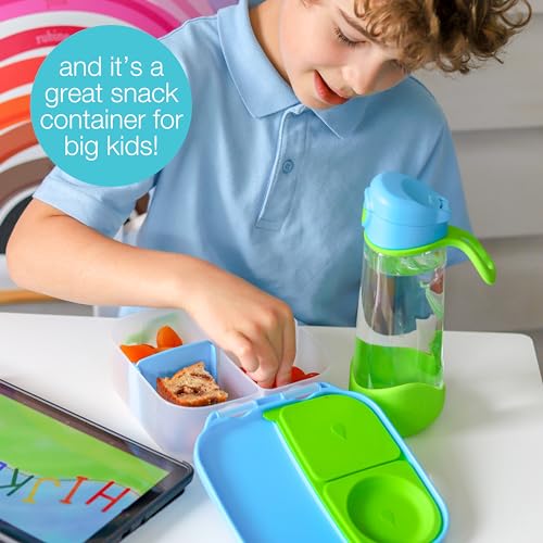 Mini Lunch Box