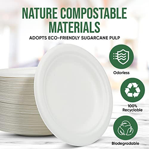 6 inch Paper Plate 100 Pack Small Disposable (White / 6 IN)