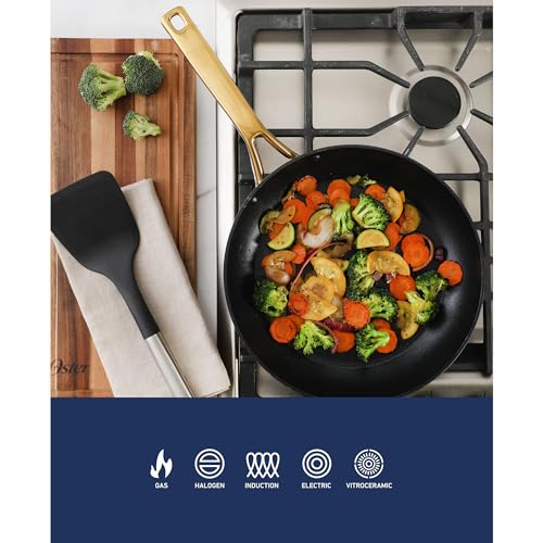 Platinum Abbotsford 11 (Black w/ Gold / 11-Inch Skillet)