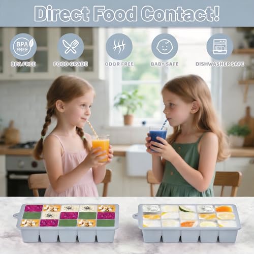 Silicone Ice Cube Tray 2 Pack (Gray / Ice Cube Tray 2 Pack)