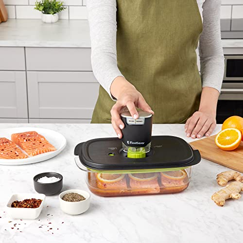 FS2160 Multi Use Handheld Vacuum Sealer And Marinator (new)