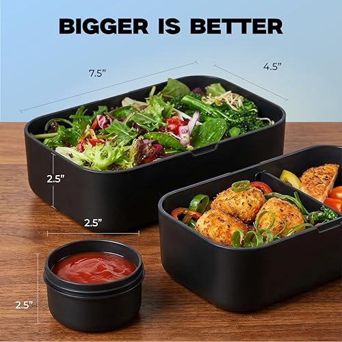 67oz Bento Box Adult