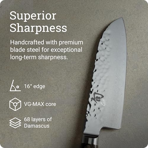 Premier 5.5" Santoku Knife (Silver / 5.5")