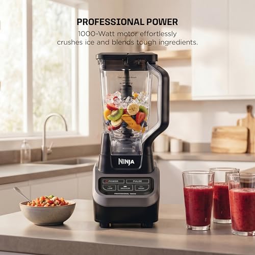 Professional Blender (Black/Gray)