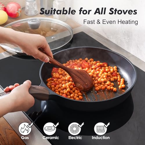 9.5inch Nonstick Frying Pan Paella Pan with Lid (9.5 Inch / NIGHT Black)