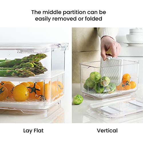 Produce Saver with Lids (M+L)