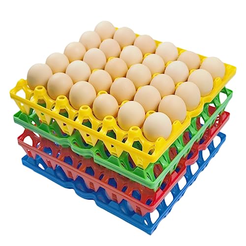8 Pack Plastic Egg Tray Egg Crates 30 (8 Count)