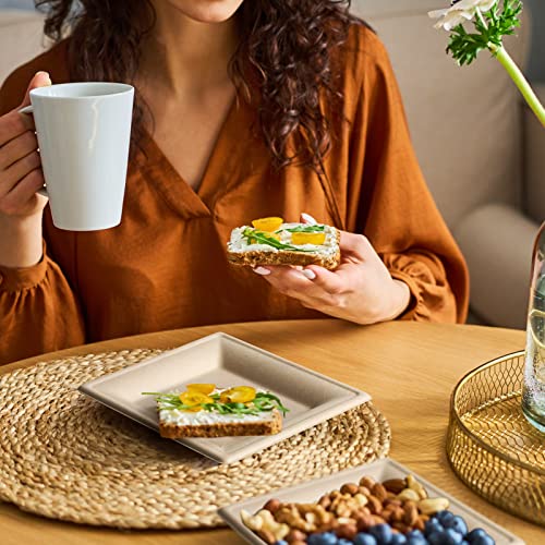 Samll Compostable Square Paper Plates 6 Inch 100 Pack Disposable (Brown / 6-inch 100 pack)