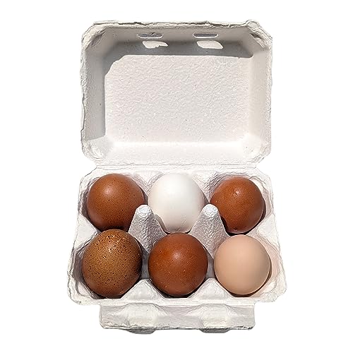 Half Dozen Blank White Egg Cartons (White / 20)
