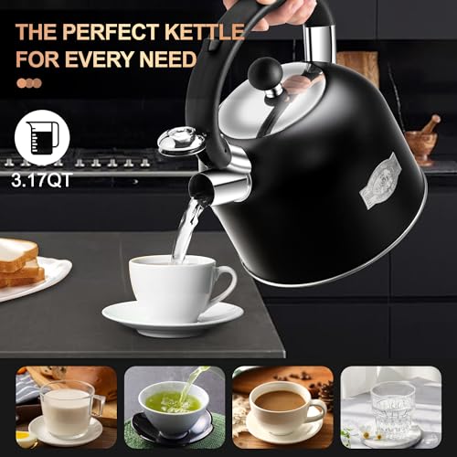 Tea Kettle 3.17QT Stainless Steel Whistling Tea Pot (Black)