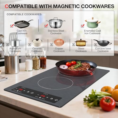 Double Induction Cooktop 110v (Gray 2 Burner)