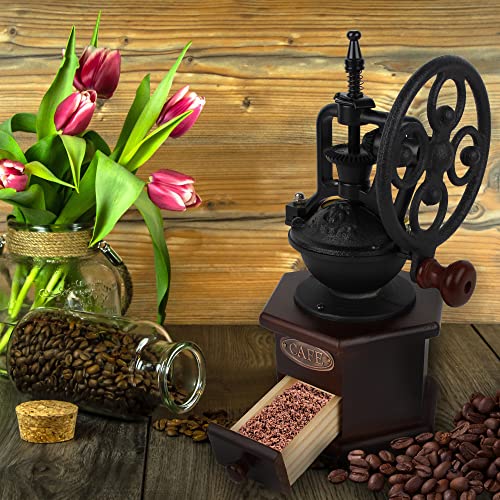 Coffee Grinder (Brown (six deformation base))