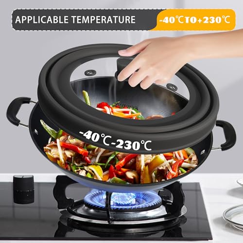 Microwave Splatter Cover (Black / 10.8 inch)