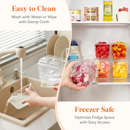 Chilled Condiment Caddy with 3 Compartment & Individual Lids (without Accessories / 3 Containers)