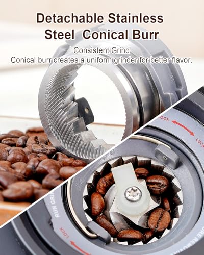 Electric Conical Burr Coffee Grinder with Removable Coffee Scale (Stainless Steel)