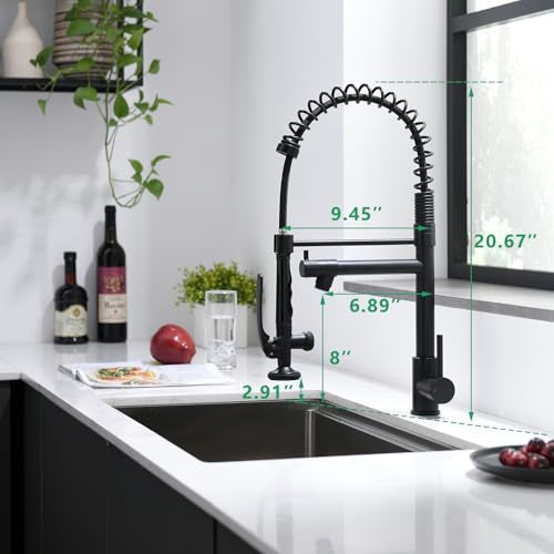 Black Kitchen Faucet (Matte Black)