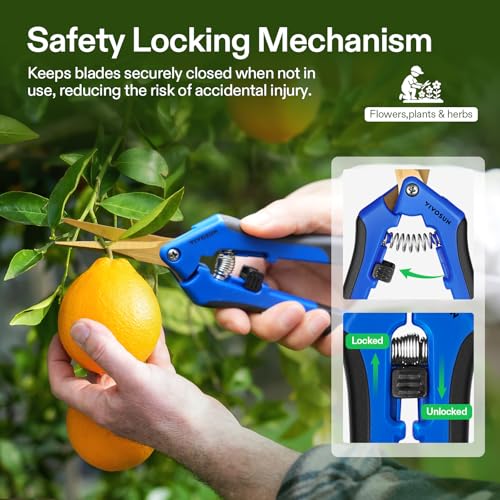 6.5 Inch Garden Scissors (Blue Curved Blade / Blue)