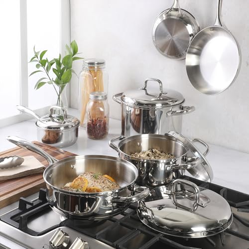 Platinum Sedwick 10 (Stainless (Sedwick) / 10-Piece Cookware Set)