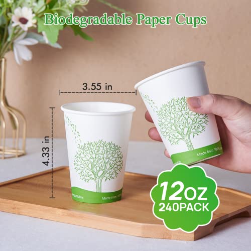 240 Count 12 oz Compostable Paper Cup (240Pack 12oz PLA Cups)