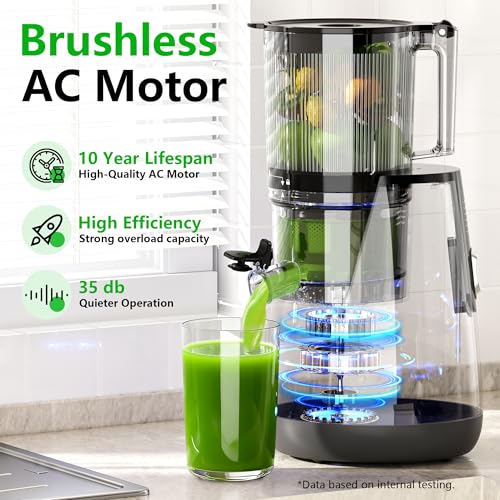 Cold Press Juicer (Grey)