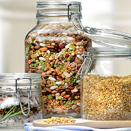 Fido, 2 Pack, 33.75 Oz. Food Storage Glass Jars, Airtight Rubber Seal & Glass Lid, with Stainless Wire Clamp, Mason Jar, Made in Italy (33.75 oz)