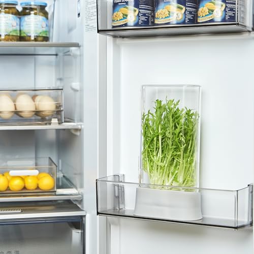 Herb Keeper for Refrigerator (1 PACK)