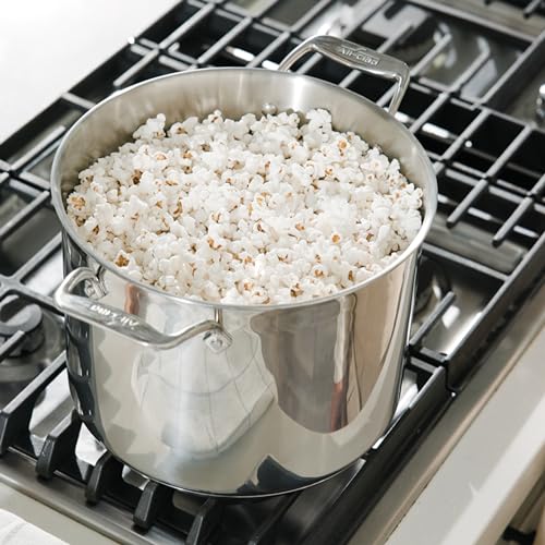 Simply Strain Stainless Steel 12 Qt Stock Pot with Strainer Insert (12-quart (Induction))