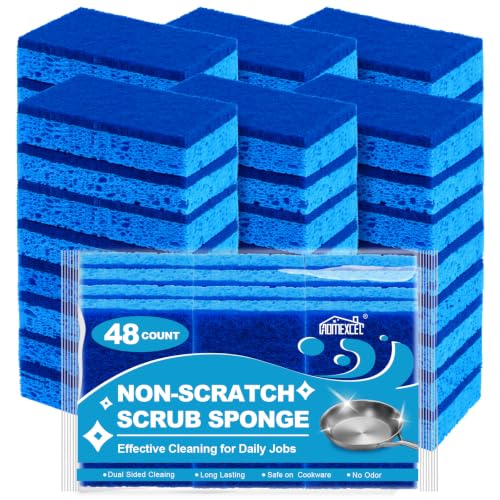 Sponges Kitchen 48 Pack (Blue-rectangle)
