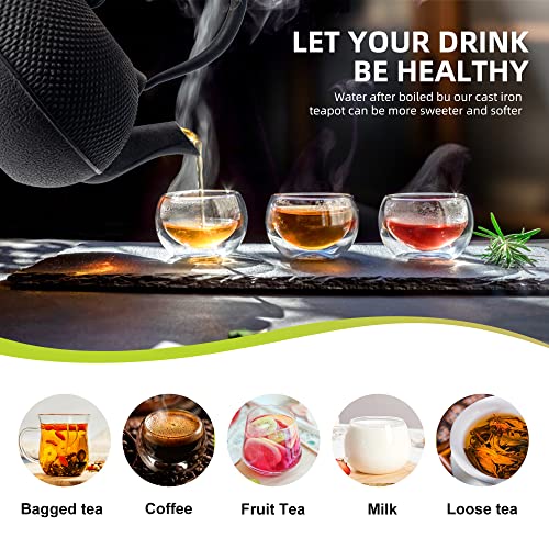 Japanese Tetsubin Tea Kettle Cast Iron Teapot with Stainless Steel Infuser 60 oz (60 oz / 1800 ml)
