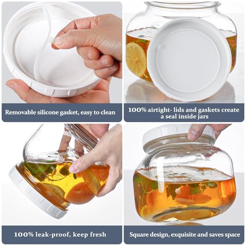 0.6Gal Airtight Glass Jar with Lid (0.6 Gallon)