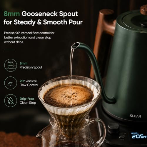 Gooseneck Electric Kettle with Temperature Control (Green)