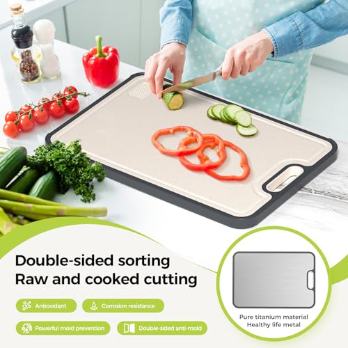 Titanium Cutting Board Double Sided Food Grade (Silver / Set of 2 (15.5" x 10.5", 12" x 8.5"))