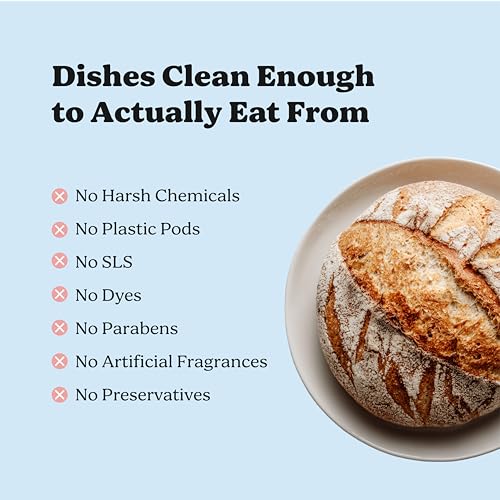 Dishwasher Detergent (13.67 Ounce (Pack of 1))